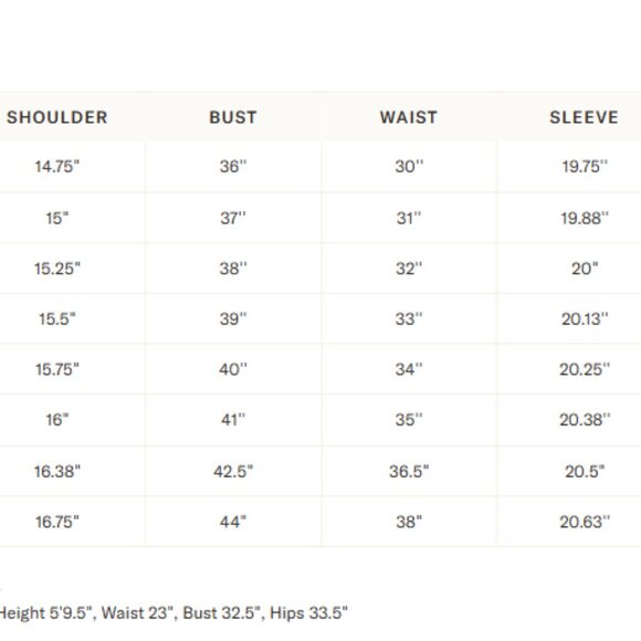 TUCKERNUCK Citron and Slate Blue Embroidered Long Sleeve Rhoda Tunic Dress - NWT - Picture 5 of 5